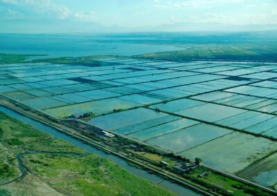 Rice Cultivation in the Axios River basin